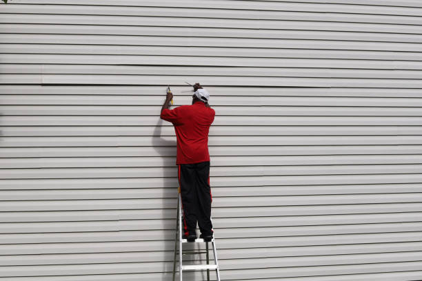 Best Siding Painting and Refinishing  in Forest City, NC